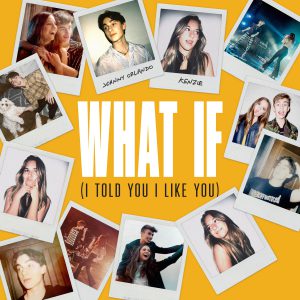 WHAT IF (I TOLD YOU I LIKE YOU)