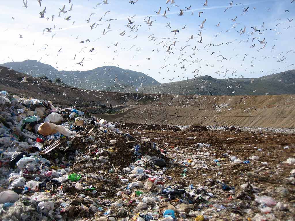 La discarica di Bellolampo