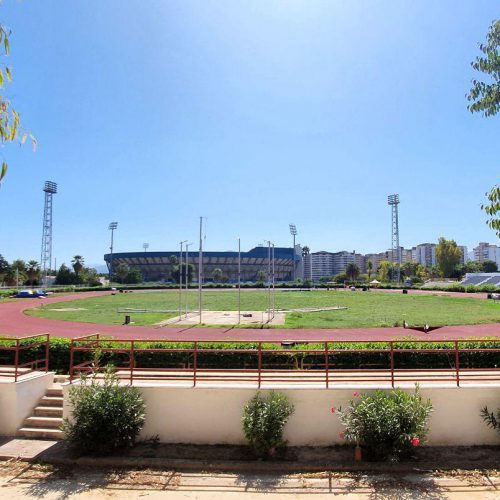 Lo Stadio delle Palme