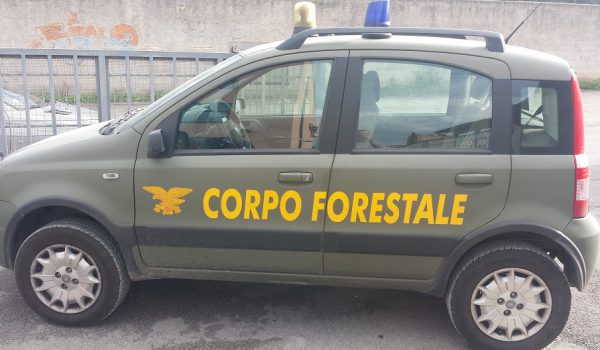 Forestali, mensilità arretrate per 1.500 lavoratori. Flai Cgil Catania e Sicilia: intervenga il prefetto