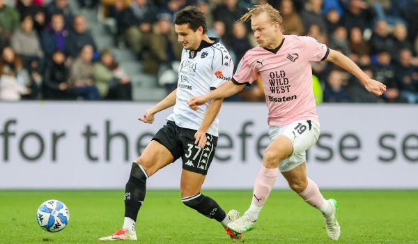 Mantova – Palermo: analisi e aspettative tutto sul prossimo turno di Serie B