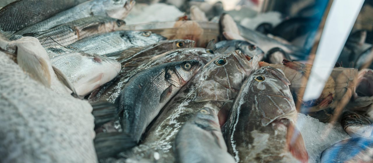 Palermo, controlli sui prodotti ittici: 4 quintali e mezzo di merce sequestrata