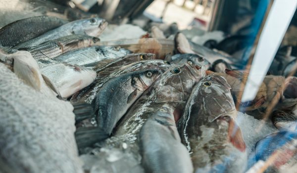 Palermo, controlli sui prodotti ittici: 4 quintali e mezzo di merce sequestrata