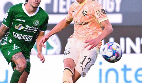 Avellino-Palermo 1-1: Cheddira illude i biancoverdi, Johnsen risponde tre minuti dopo